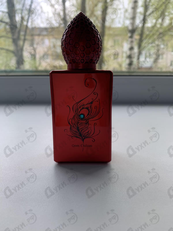 Купить Qom Chilom от Stephane Humbert Lucas 777