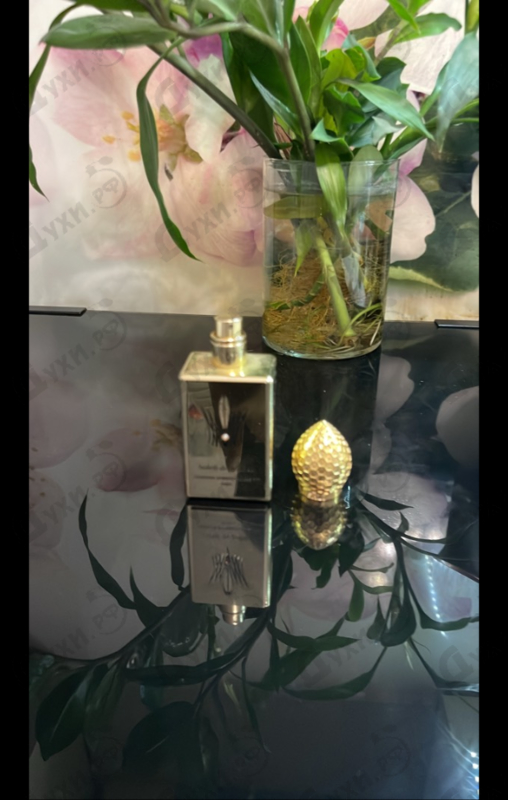 Купить Soleil De Jeddаh от Stephane Humbert Lucas 777