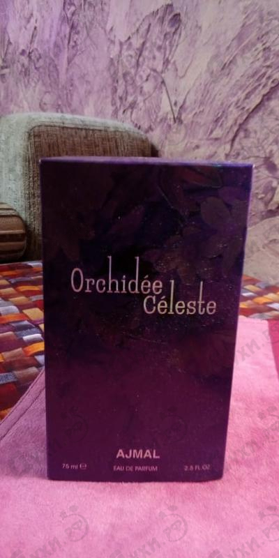 Купить Orchidee Celeste от Ajmal