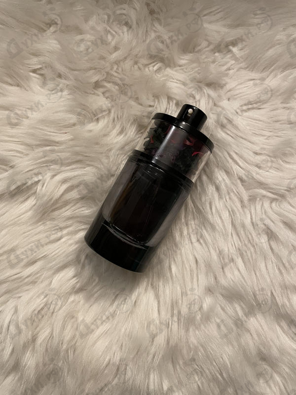 Купить Vanille Celeste от Ajmal Отзывы Ajmal Vanille Celeste