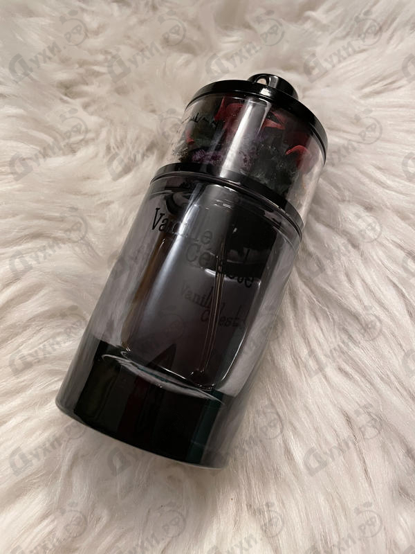 Купить Vanille Celeste от Ajmal Купить Ajmal Vanille Celeste