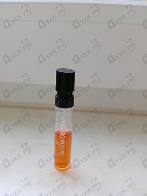 Купить Vanille Celeste от Ajmal Отзывы Ajmal Vanille Celeste
