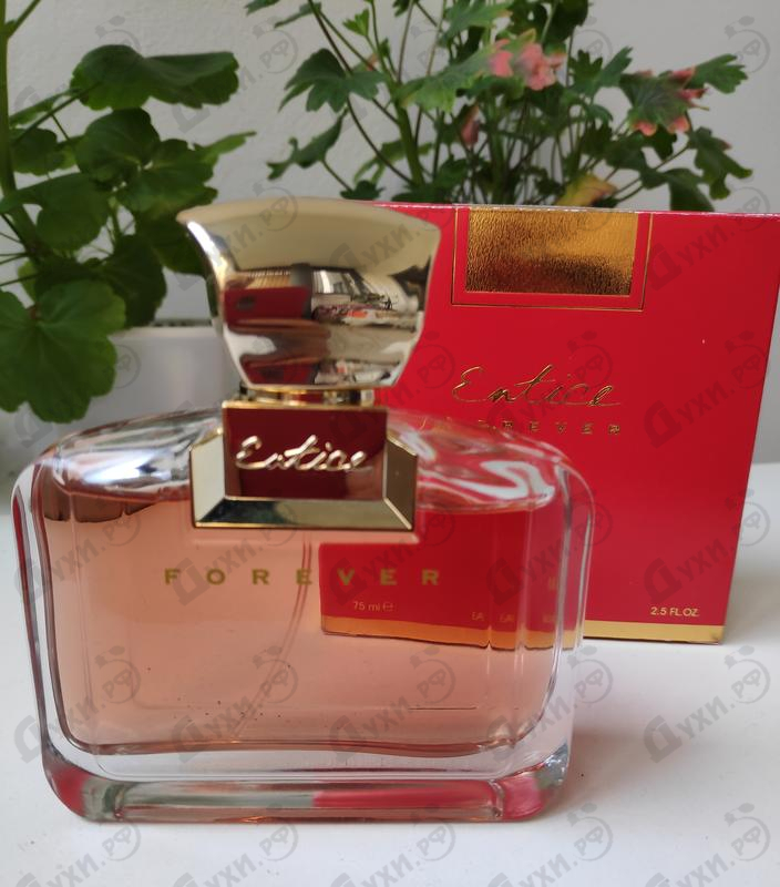 Отзыв Ajmal Entice Forever Парфюмерия Entice Forever от Ajmal