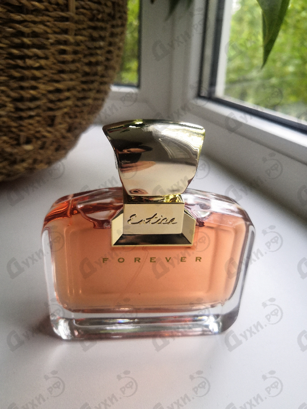 Духи Entice Forever от Ajmal Купить Ajmal Entice Forever