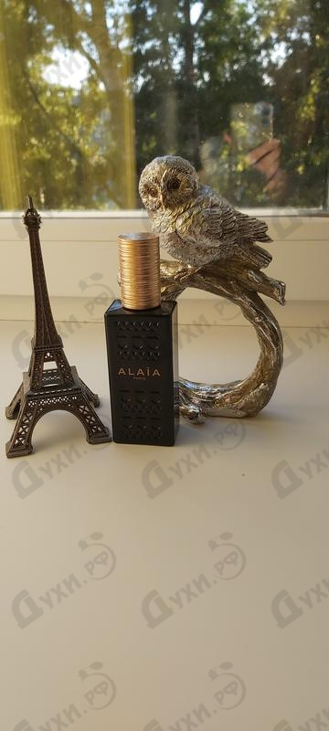 Купить Alaia Alaia
