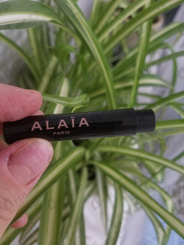 Купить Alaia от Alaia