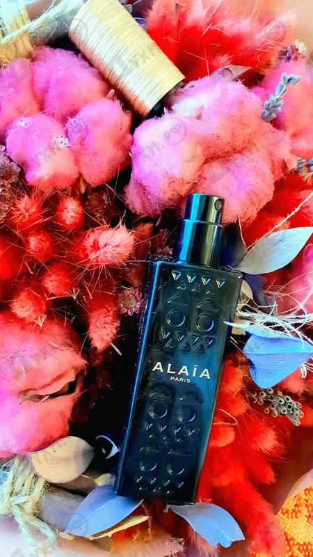 Купить Alaia от Alaia Отзывы Alaia Alaia
