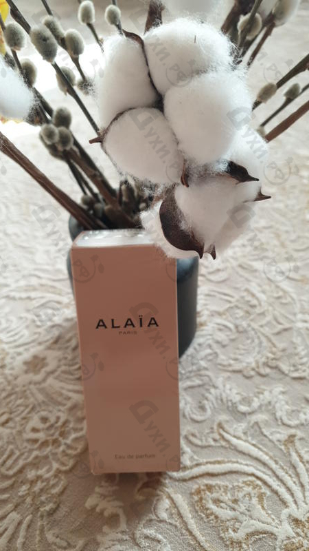 Отзывы Alaia Alaia Купить Alaia от Alaia