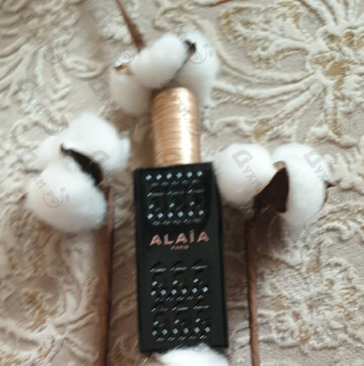 Купить Alaia Alaia