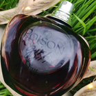 Отзывы Christian Dior Poison Girl