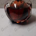 Отзывы Christian Dior Poison Girl