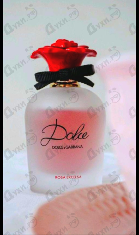 Купить Rosa Excelsa от Dolce & Gabbana