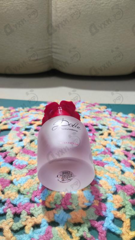 Купить Dolce & Gabbana Rosa Excelsa