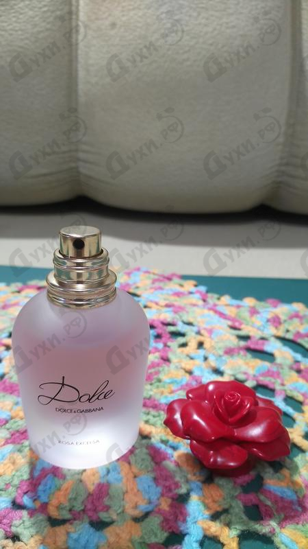 Купить Rosa Excelsa от Dolce & Gabbana