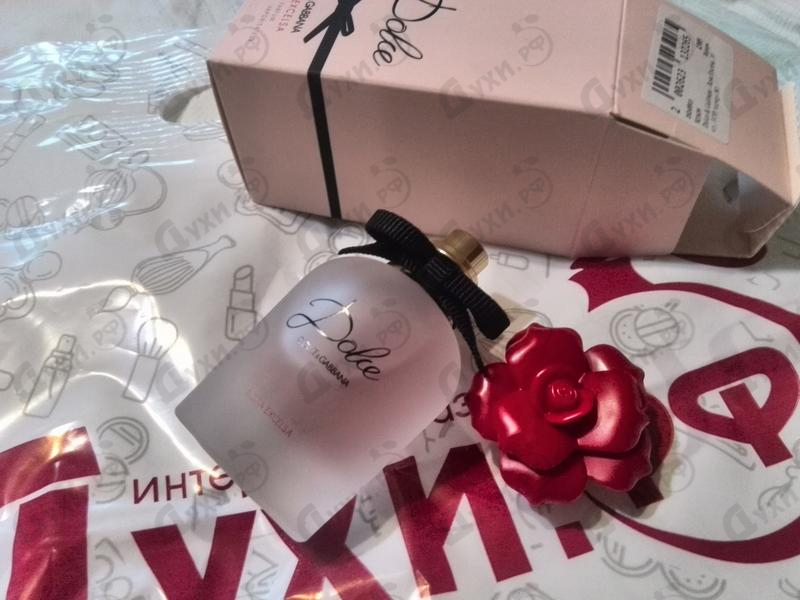 Отзывы Dolce & Gabbana Rosa Excelsa