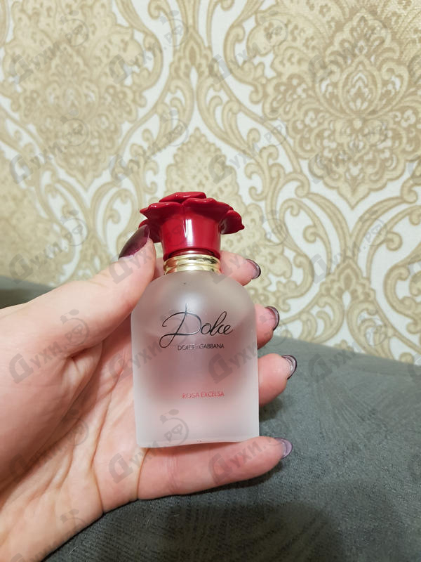Купить Dolce & Gabbana Rosa Excelsa