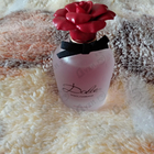Отзывы Dolce & Gabbana Rosa Excelsa