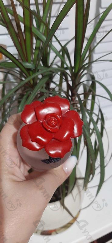 Духи Rosa Excelsa от Dolce & Gabbana