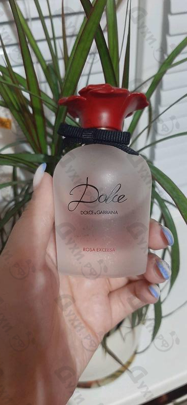 Отзыв Dolce & Gabbana Rosa Excelsa
