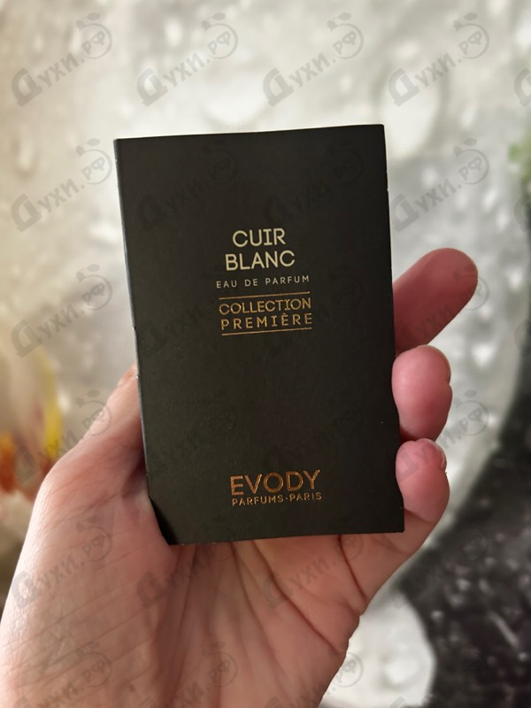 Купить Cuir Blanc от Evody Parfums