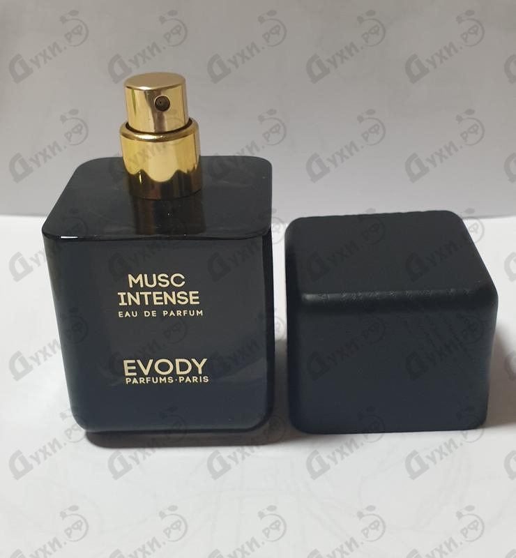 Купить Musc Intense от Evody Parfums