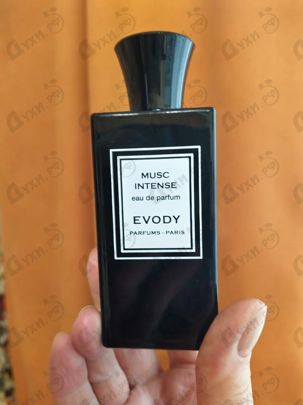 Купить Musc Intense от Evody Parfums