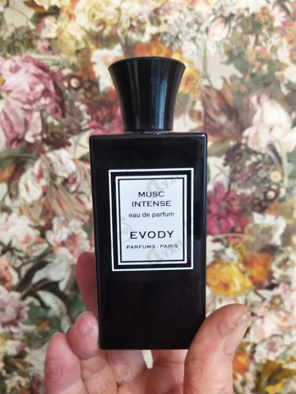 Купить Musc Intense от Evody Parfums