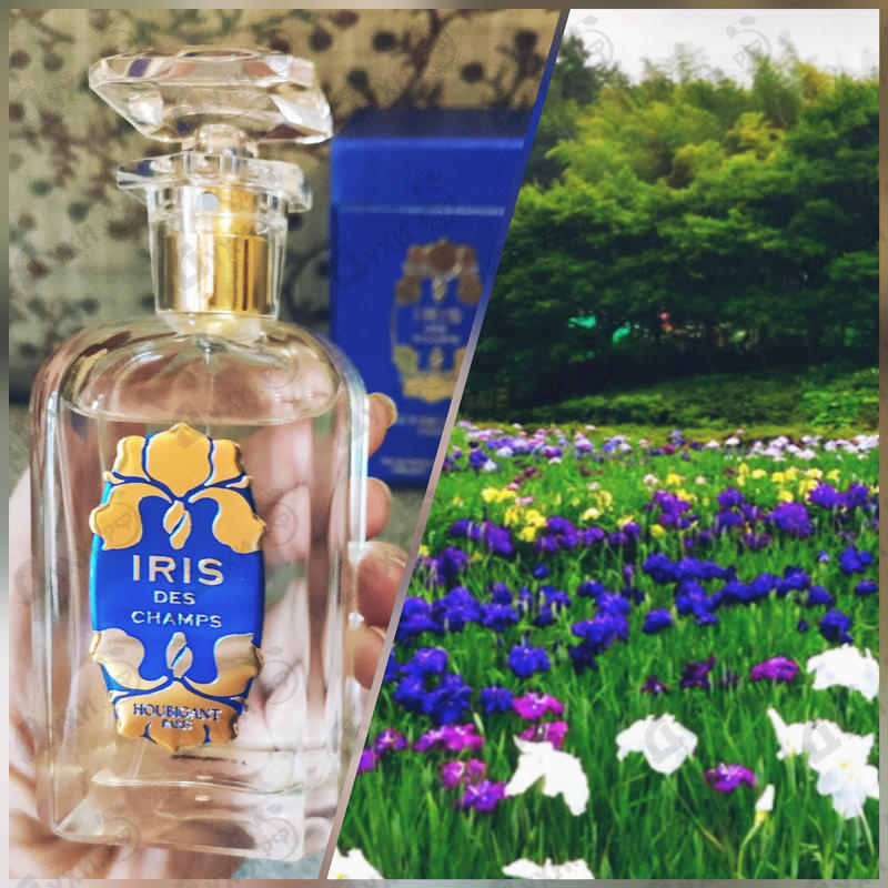 Духи Iris Des Champs от Houbigant