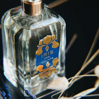 Парфюм Houbigant Iris Des Champs