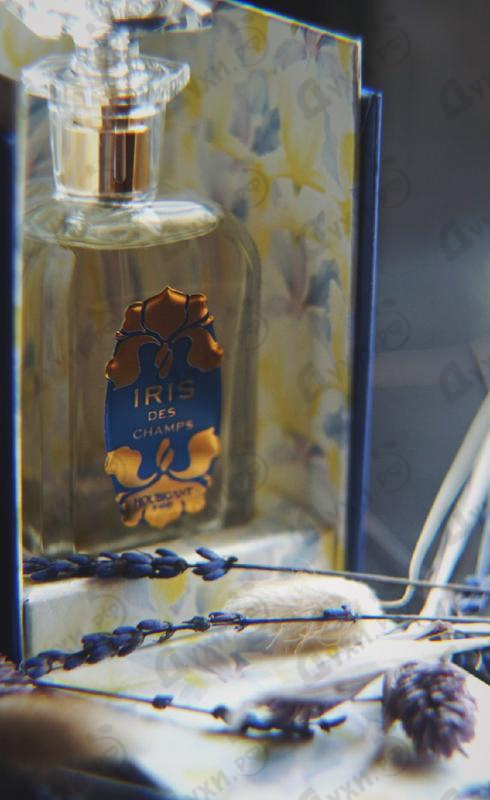 Отзывы Houbigant Iris Des Champs Парфюмерия Iris Des Champs от Houbigant