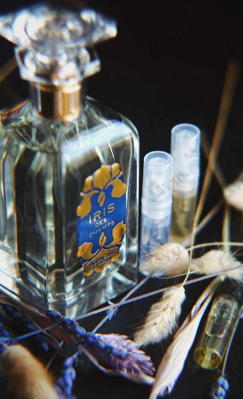 Парфюмерия Houbigant Iris Des Champs Парфюмерия Iris Des Champs от Houbigant