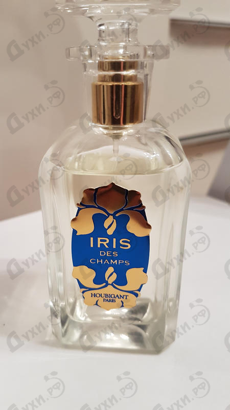 Отзывы Houbigant Iris Des Champs