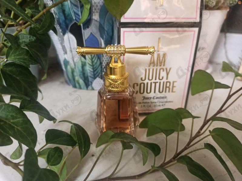 Отзыв Juicy Couture I Am Juicy Couture Купить I Am Juicy Couture от Juicy Couture