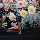 Отзывы Kilian Voulez-vous Coucher Avec Moi