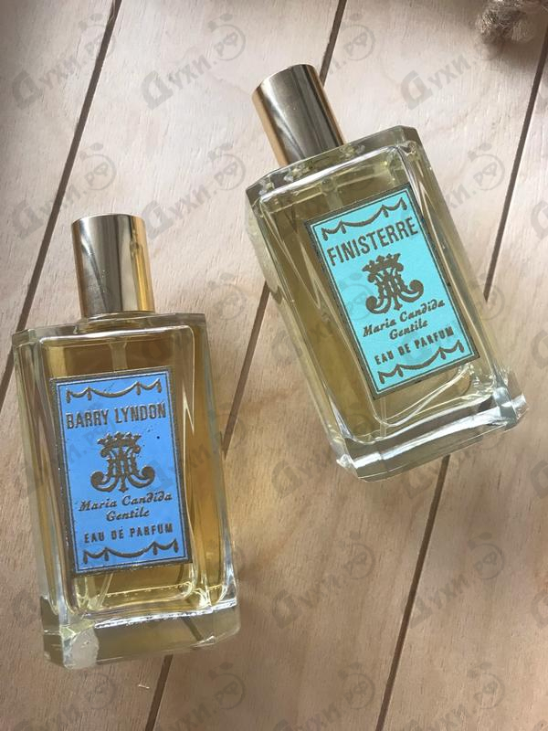 Купить Finisterre от Maria Candida