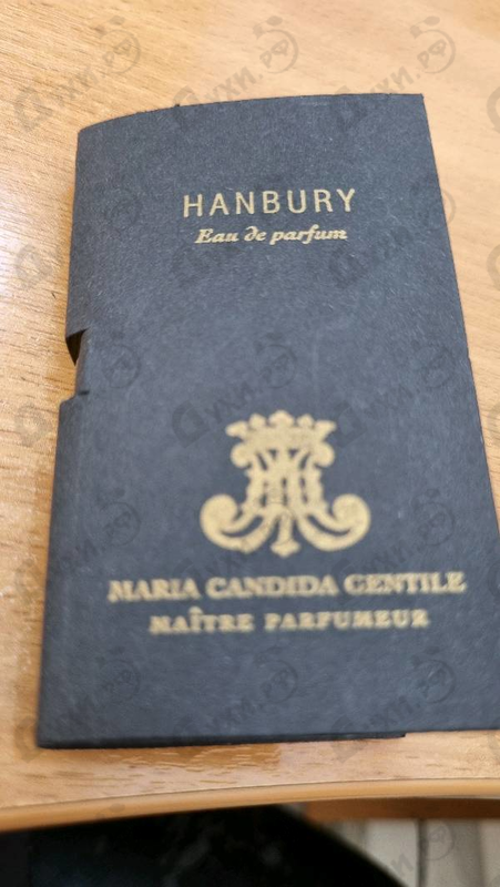 Купить Hanbury от Maria Candida