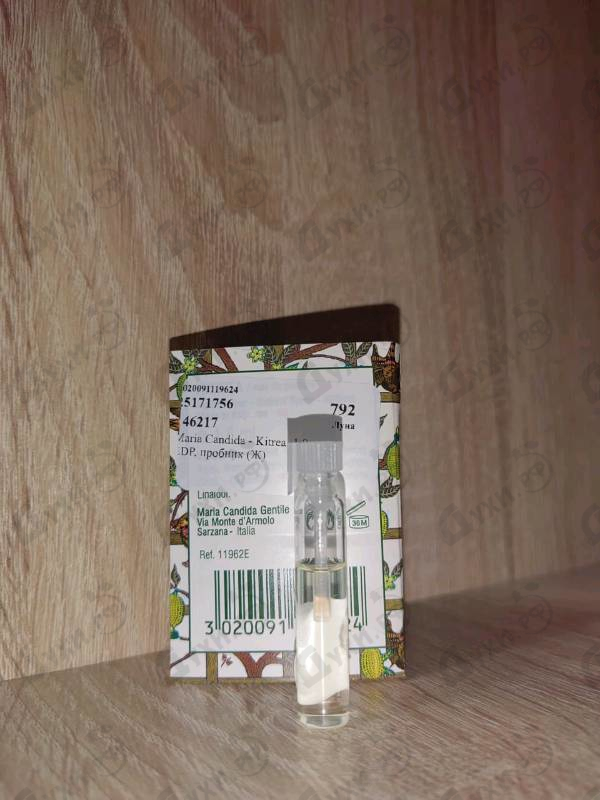 Парфюмерия Kitrea от Maria Candida