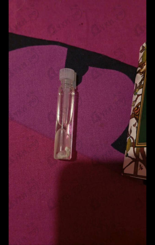 Парфюмерия Kitrea от Maria Candida