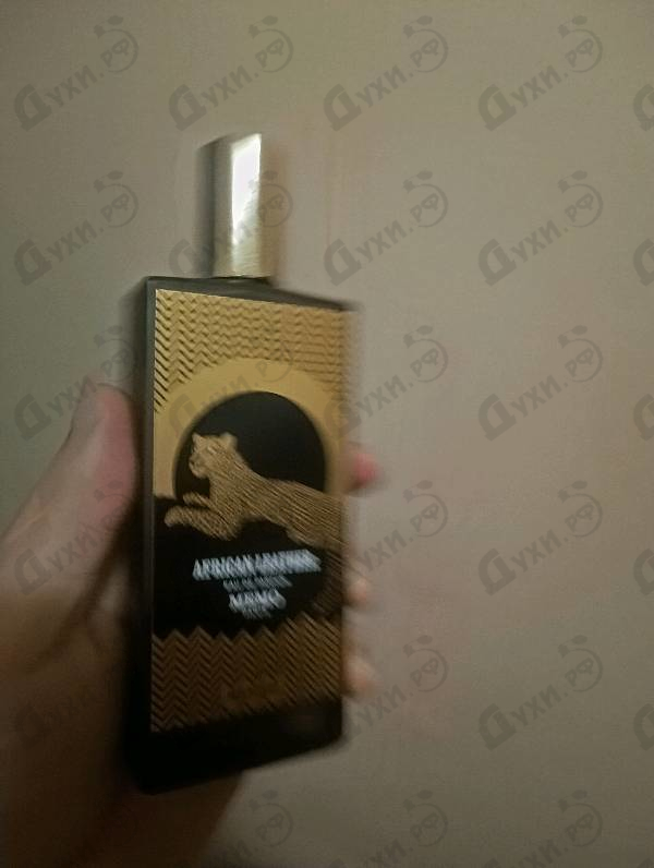 Купить Memo African Leather