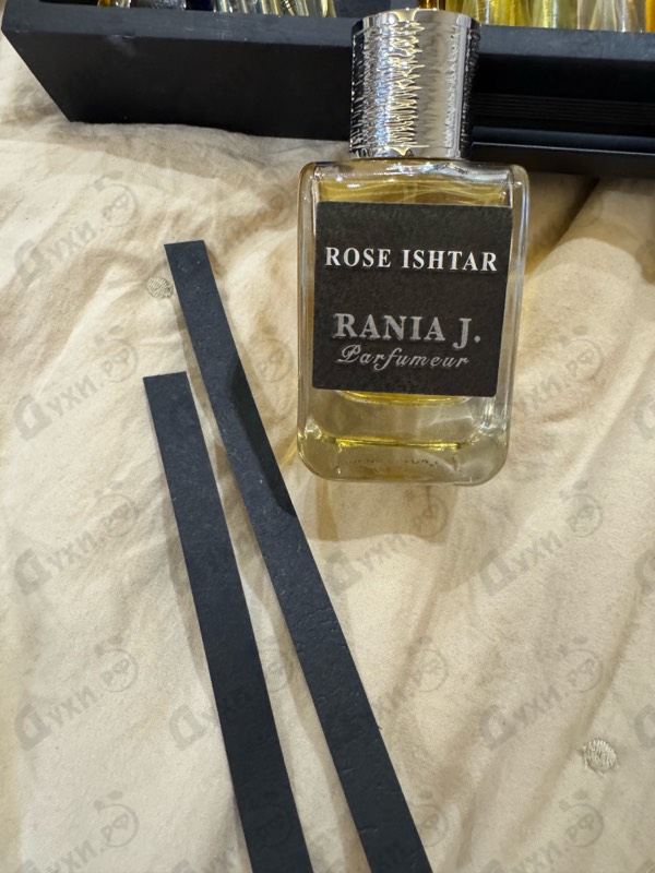 Купить Rose Ishtar от Rania J