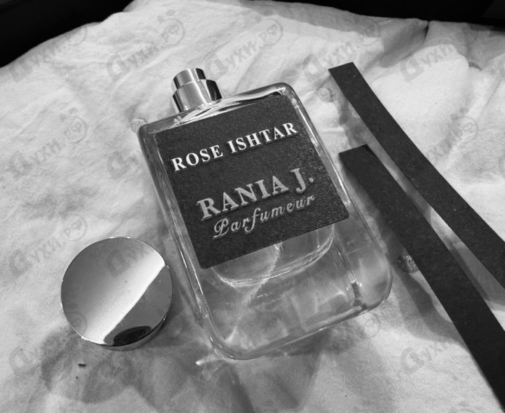 Купить Rose Ishtar от Rania J