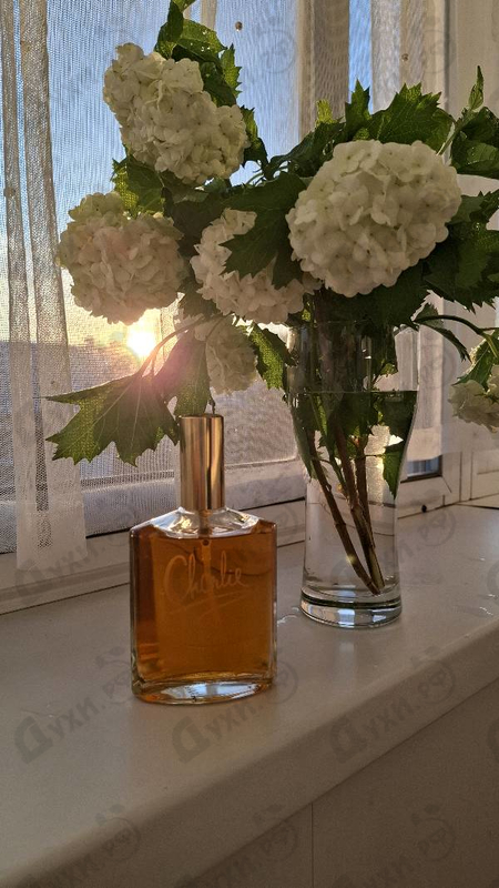 Отзыв Revlon Charlie Gold