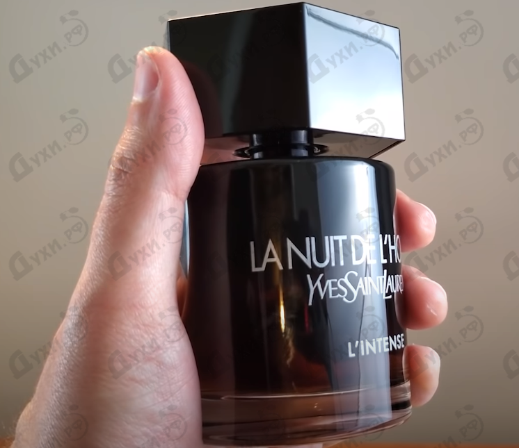 Купить La Nuit De L'homme L'intense от Yves Saint Laurent