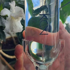 Отзывы Calvin Klein Ck2