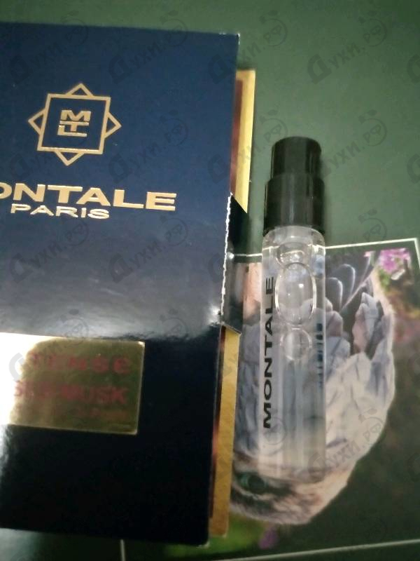 Духи Roses Musk Intense от Montale
