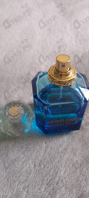 Купить Paradiso Azzurro от Roberto Cavalli