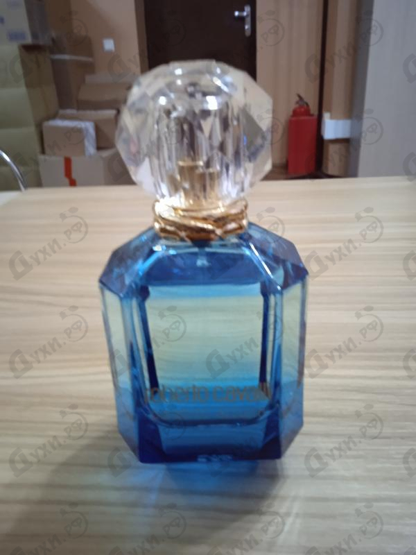 Купить Paradiso Azzurro от Roberto Cavalli Отзыв Roberto Cavalli Paradiso Azzurro