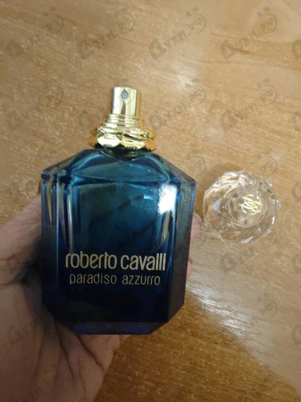 Парфюмерия Paradiso Azzurro от Roberto Cavalli