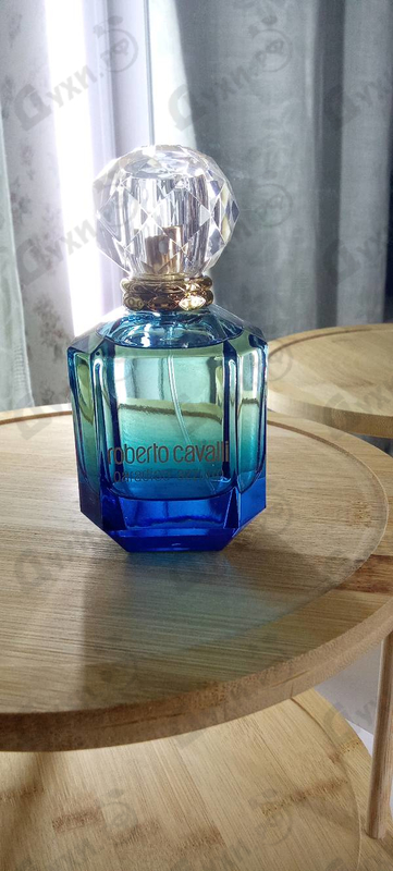Купить Roberto Cavalli Paradiso Azzurro