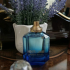 Отзыв Roberto Cavalli Paradiso Azzurro